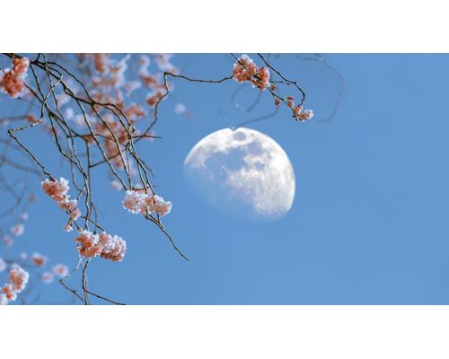mid-day moon