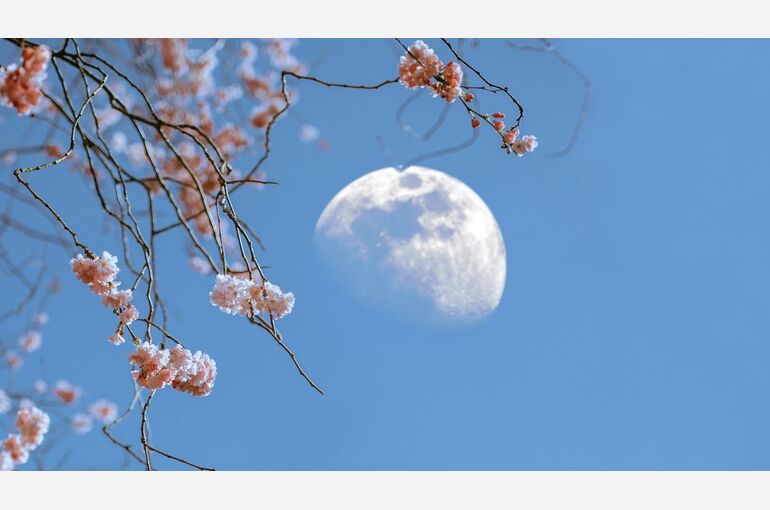 mid-day moon