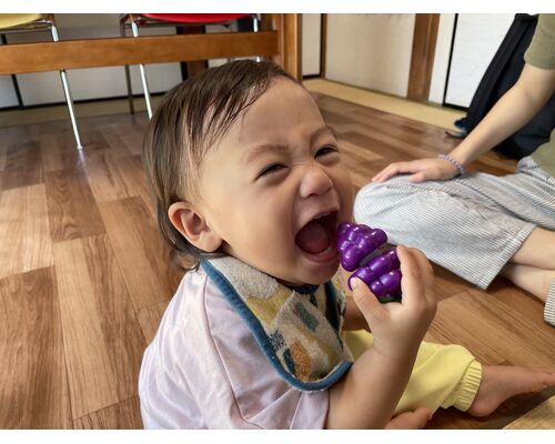 grapesをパクリ