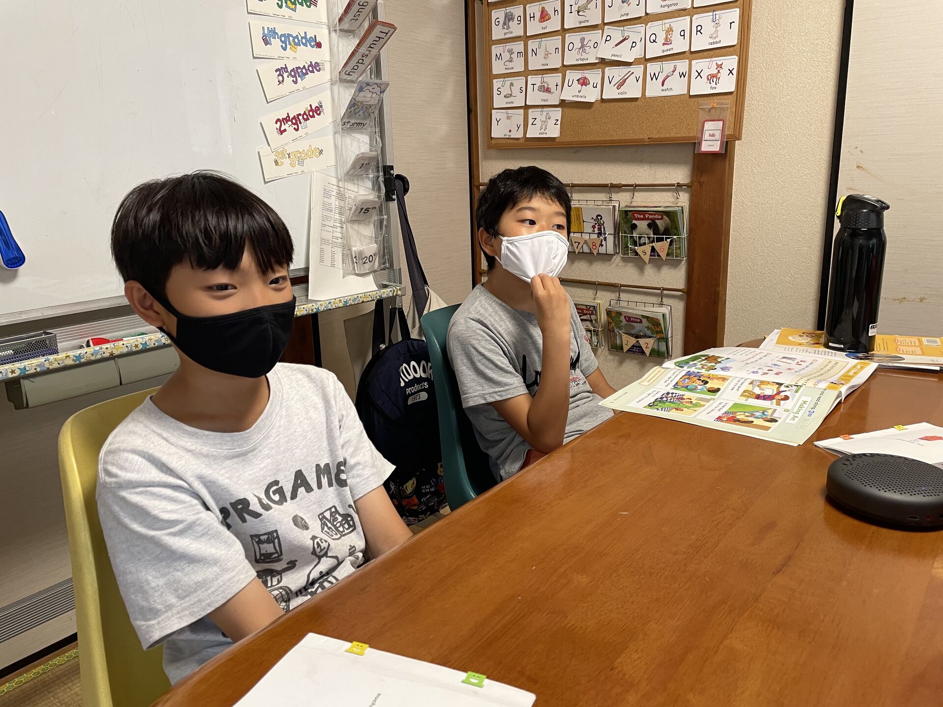 ちょっとだけトサカが生えてきた「ニワトリさん」